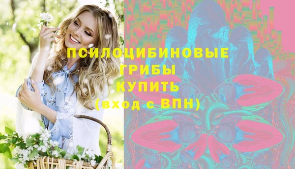крисы Алексеевка