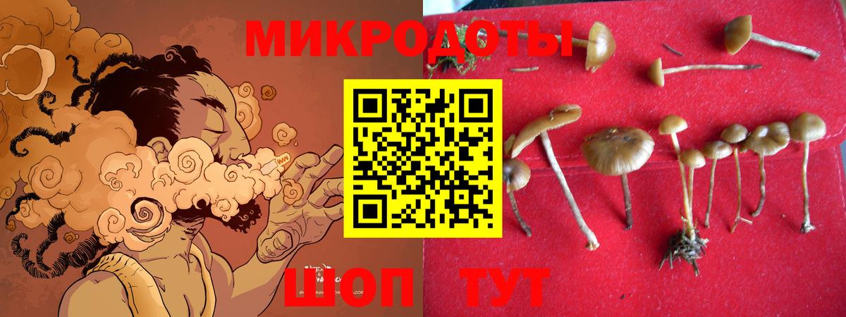 Галлюциногенные грибы MAGIC MUSHROOMS Лесной