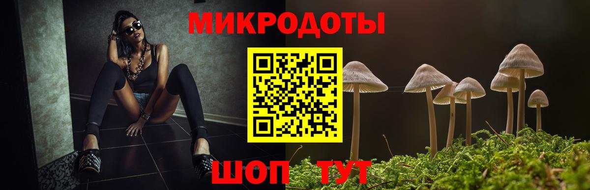 хочу наркоту  Вход с VPN  Лесной  Псилоцибиновые грибы Psilocybine cubensis 