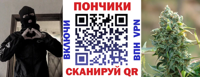 даркнет как зайти  Лесной  Шишки марихуана планчик 